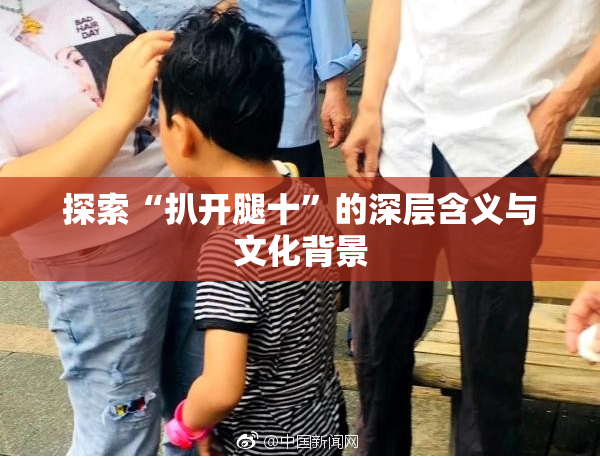 探索“扒开腿十”的深层含义与文化背景