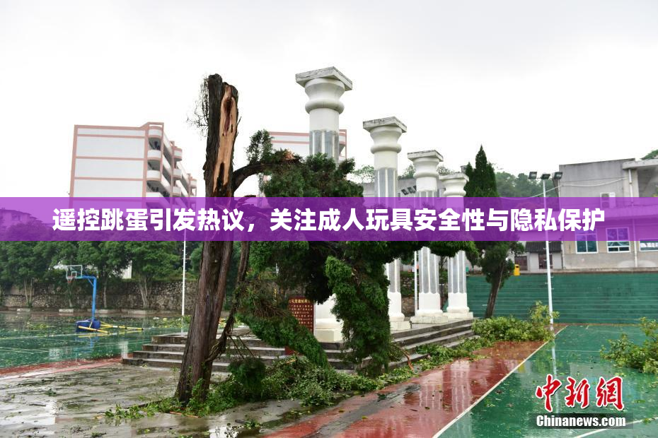 遥控跳蛋引发热议，关注成人玩具安全性与隐私保护