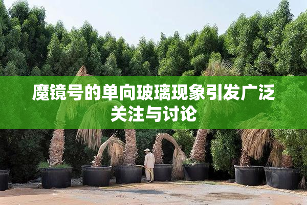魔镜号的单向玻璃现象引发广泛关注与讨论
