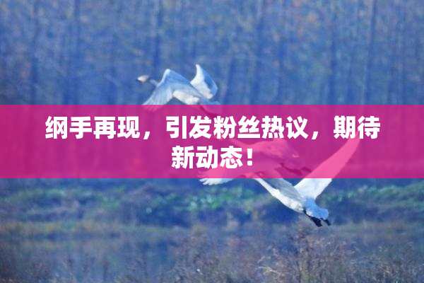 纲手再现，引发粉丝热议，期待新动态！