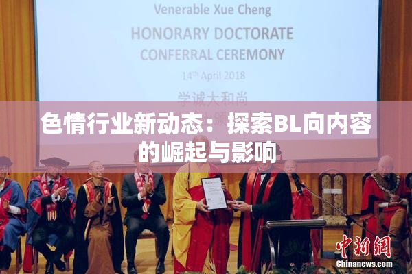 色情行业新动态：探索BL向内容的崛起与影响