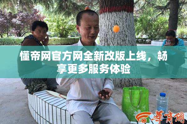 懂帝网官方网全新改版上线，畅享更多服务体验