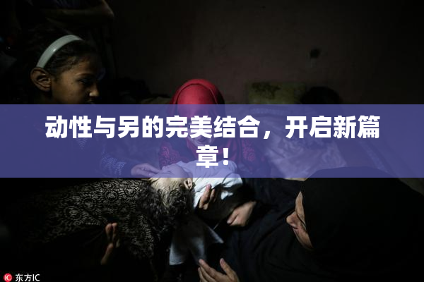 动性与另的完美结合，开启新篇章！