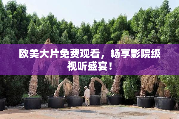 欧美大片免费观看，畅享影院级视听盛宴！