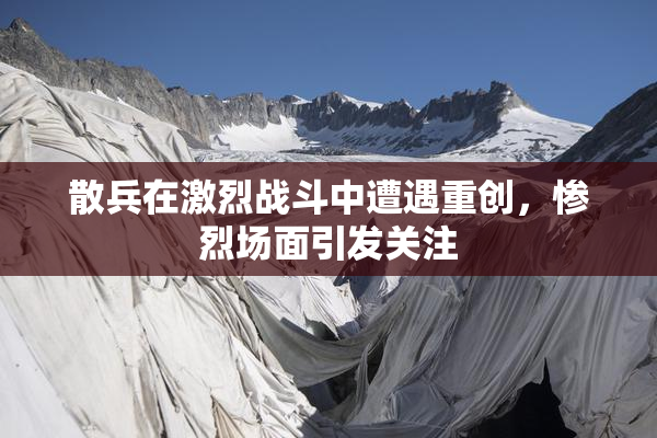 散兵在激烈战斗中遭遇重创，惨烈场面引发关注