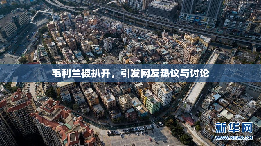 毛利兰被扒开，引发网友热议与讨论