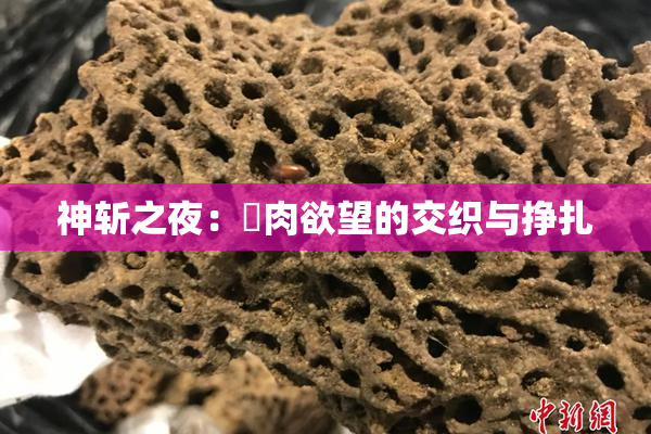 神斩之夜：婬肉欲望的交织与挣扎