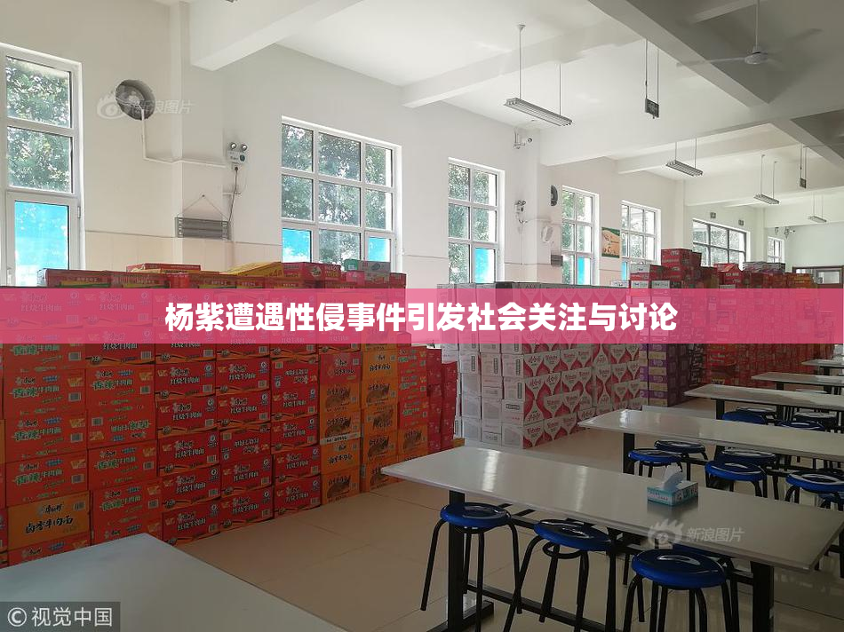 杨紫遭遇性侵事件引发社会关注与讨论