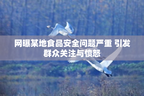 网曝某地食品安全问题严重 引发群众关注与愤怒