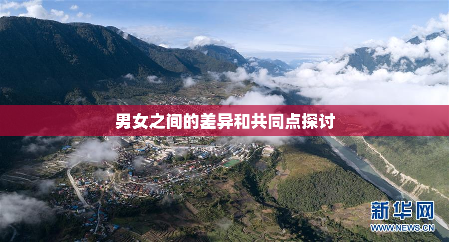 男女之间的差异和共同点探讨