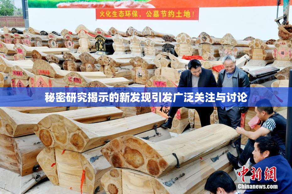 秘密研究揭示的新发现引发广泛关注与讨论