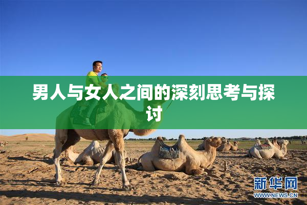 男人与女人之间的深刻思考与探讨