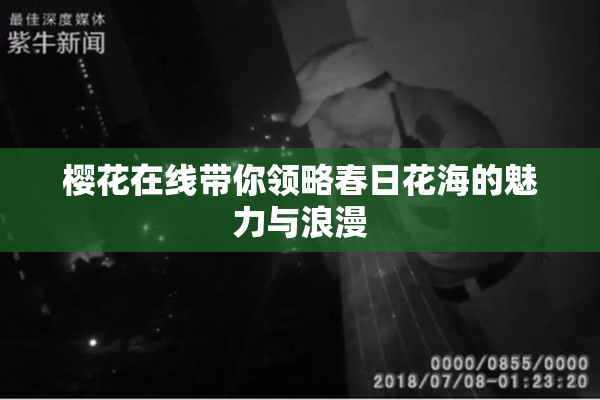 樱花在线带你领略春日花海的魅力与浪漫