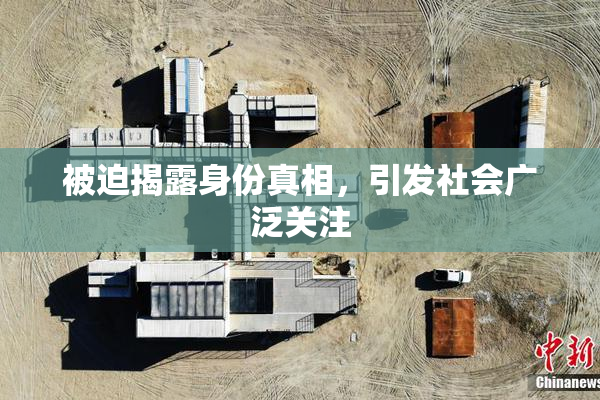 被迫揭露身份真相，引发社会广泛关注