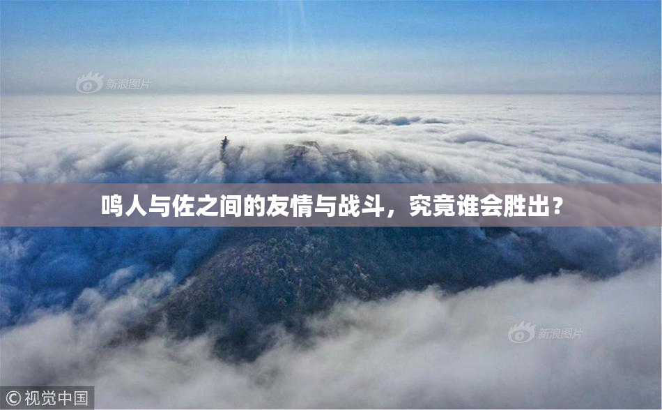 鸣人与佐之间的友情与战斗，究竟谁会胜出？