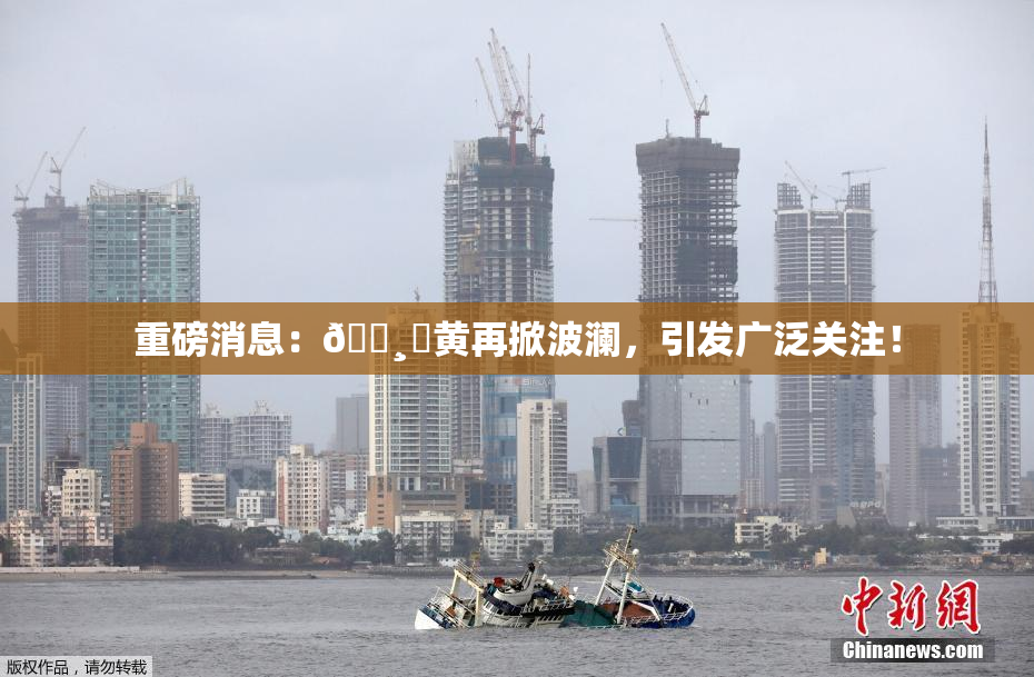 重磅消息：🌸‌黄再掀波澜，引发广泛关注！