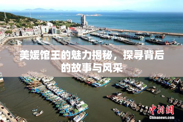 美媛馆王的魅力揭秘，探寻背后的故事与风采