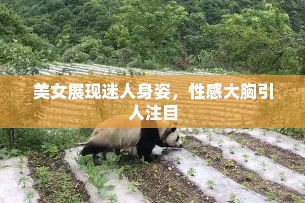 美女展现迷人身姿，性感大胸引人注目
