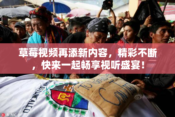 草莓视频再添新内容，精彩不断，快来一起畅享视听盛宴！