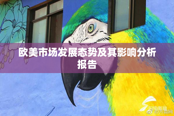 欧美市场发展态势及其影响分析报告