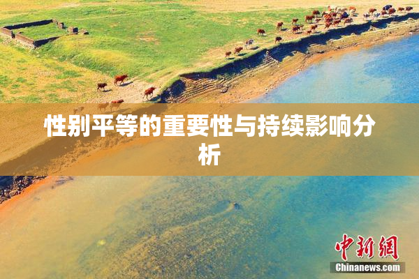 性别平等的重要性与持续影响分析