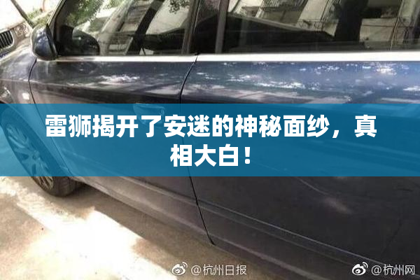 雷狮揭开了安迷的神秘面纱，真相大白！