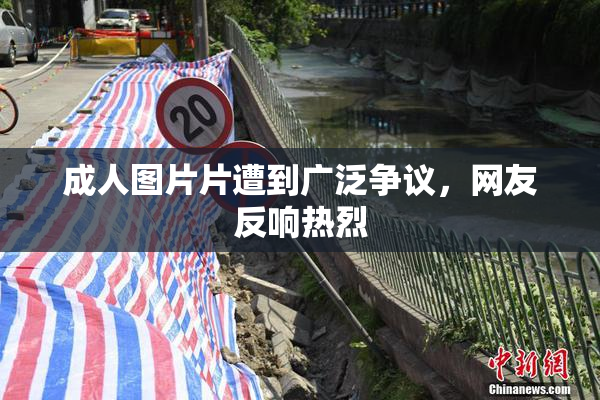 成人图片片遭到广泛争议，网友反响热烈