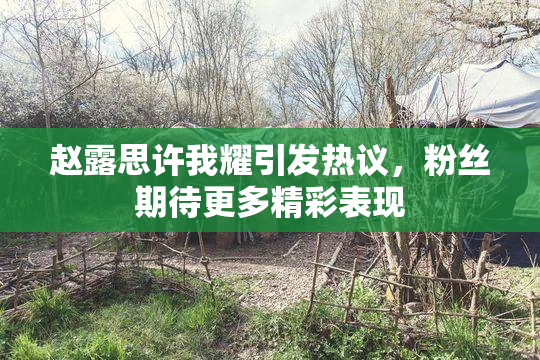 赵露思许我耀引发热议，粉丝期待更多精彩表现