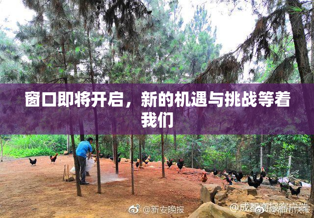 窗口即将开启，新的机遇与挑战等着我们