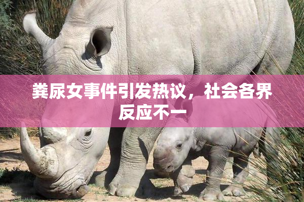 粪尿女事件引发热议，社会各界反应不一