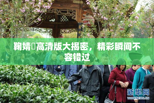 鞠婧祎高清版大揭密，精彩瞬间不容错过
