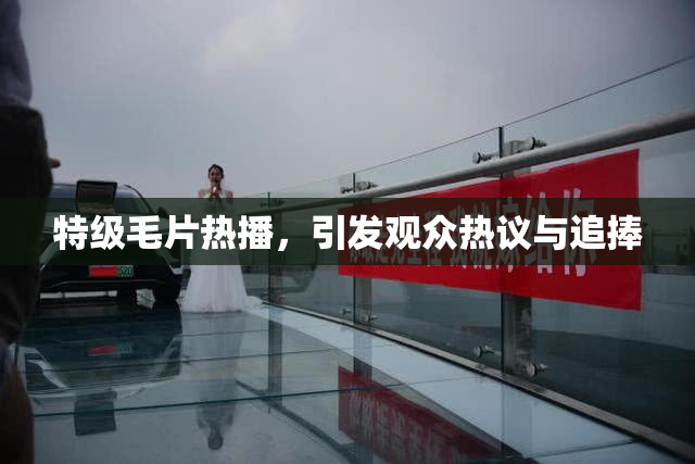 特级毛片热播，引发观众热议与追捧
