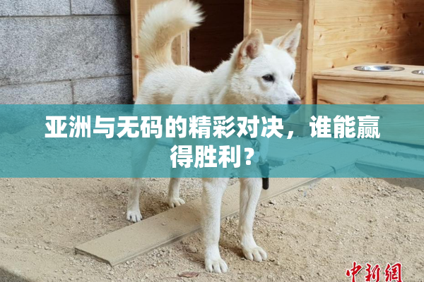 亚洲与无码的精彩对决，谁能赢得胜利？