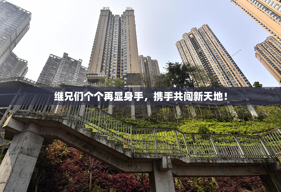 继兄们个个再显身手，携手共闯新天地！