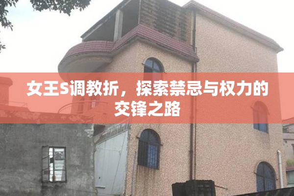 女王S调教折，探索禁忌与权力的交锋之路