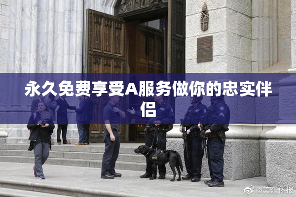永久免费享受A服务做你的忠实伴侣