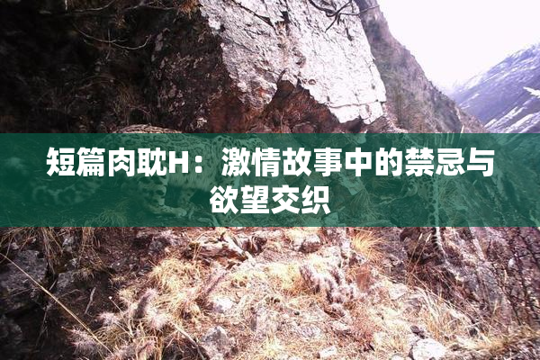 短篇肉耽H：激情故事中的禁忌与欲望交织