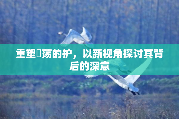 重塑婬荡的护，以新视角探讨其背后的深意