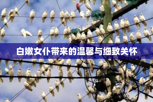 白嫩女仆带来的温馨与细致关怀