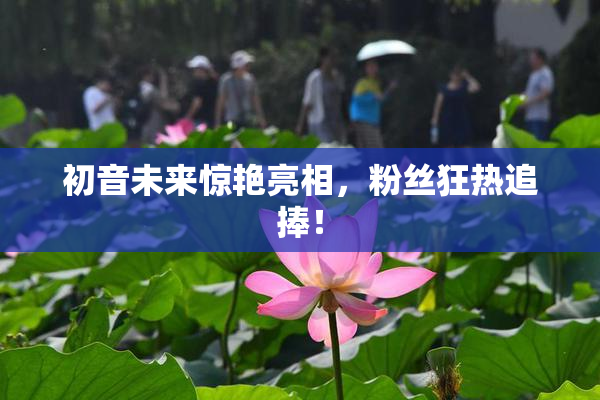 初音未来惊艳亮相，粉丝狂热追捧！