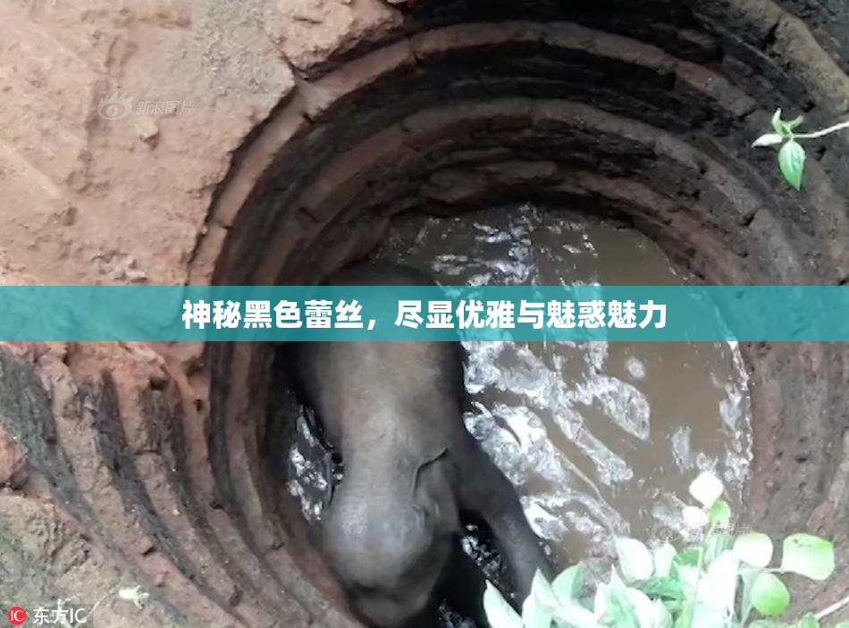 神秘黑色蕾丝，尽显优雅与魅惑魅力