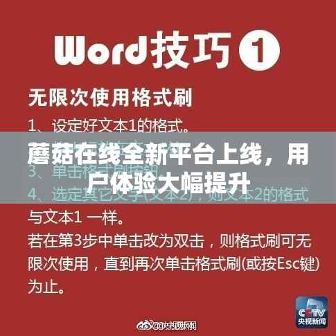 蘑菇在线全新平台上线，用户体验大幅提升