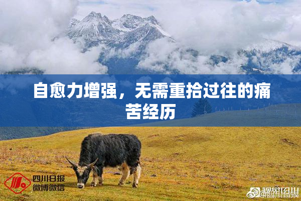 自愈力增强，无需重拾过往的痛苦经历