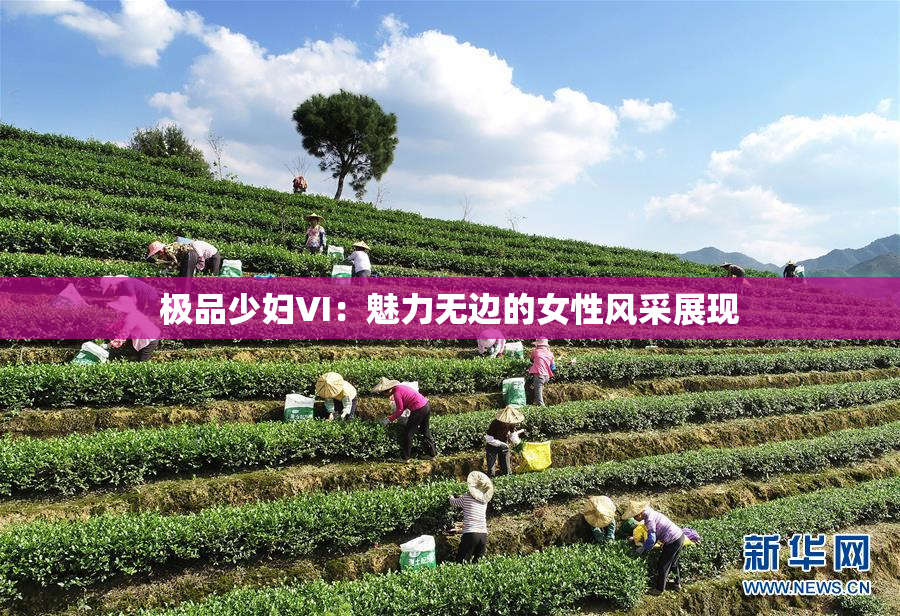 极品少妇VI：魅力无边的女性风采展现