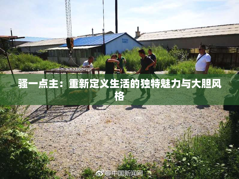 骚一点主：重新定义生活的独特魅力与大胆风格