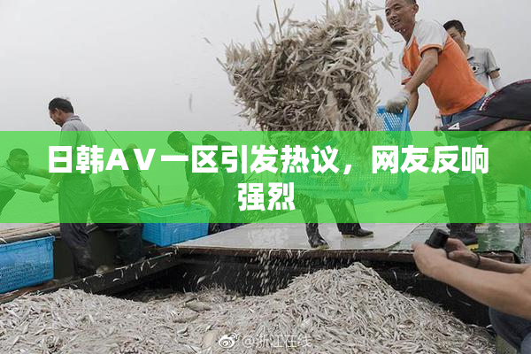 日韩AⅤ一区引发热议，网友反响强烈