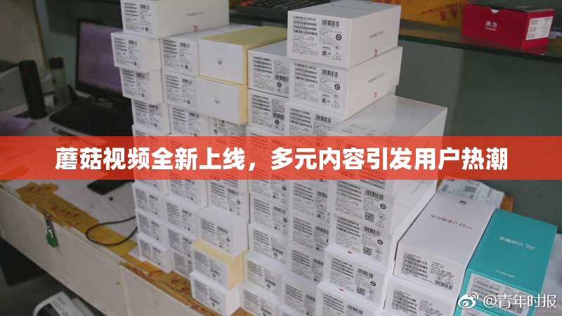 蘑菇视频全新上线，多元内容引发用户热潮