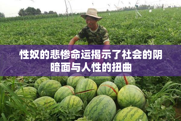 性奴的悲惨命运揭示了社会的阴暗面与人性的扭曲