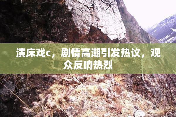 演床戏c，剧情高潮引发热议，观众反响热烈
