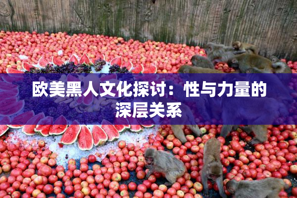欧美黑人文化探讨：性与力量的深层关系